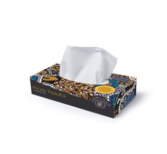 Cultural Choice 2 Ply Facial Tissue 100 Sheets x 48