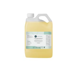 Regal Premium Machine Dishwash Liquid 5L