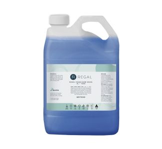 Regal Foam Hand Wash 5L - Thin