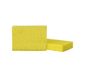 Oates Block Sponge