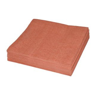 TRUMICRO Microfibre Red Cloth 40cm x 34cm 10 Wipes x 10 Packs