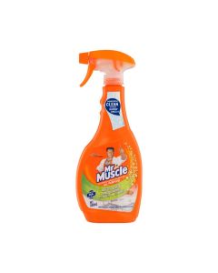 Mr Muscle A/P Cleaner Disinfectant 500mlx6