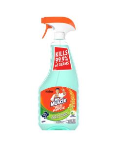 Mr Muscle All Purpose Disinfectant Apple 500ml x 4