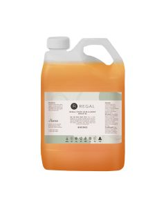 Regal Foam Hair & Body Wash 5L